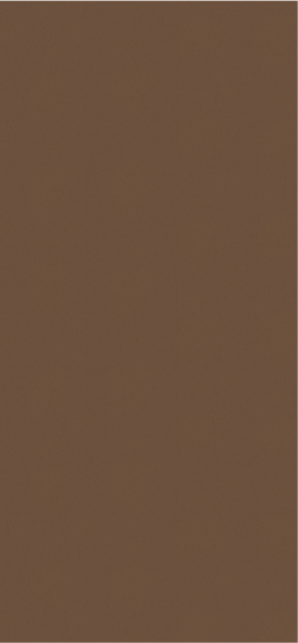 Кромка F528 ST20 2,0*19 мм Металл брашированный бронзовый (75 м бухта) Egger